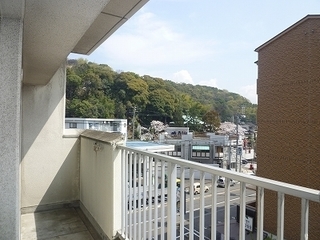 P1060411.jpg