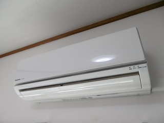 P1190001.jpg